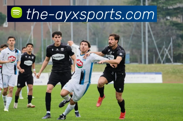 爱游戏体育品牌故事